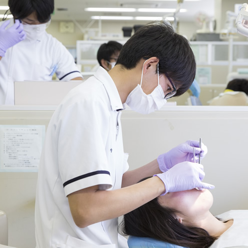 歯学部入試の画像