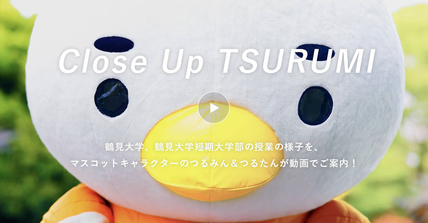 Close UP TSURUMI