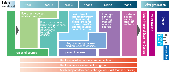 year_schedule_graph