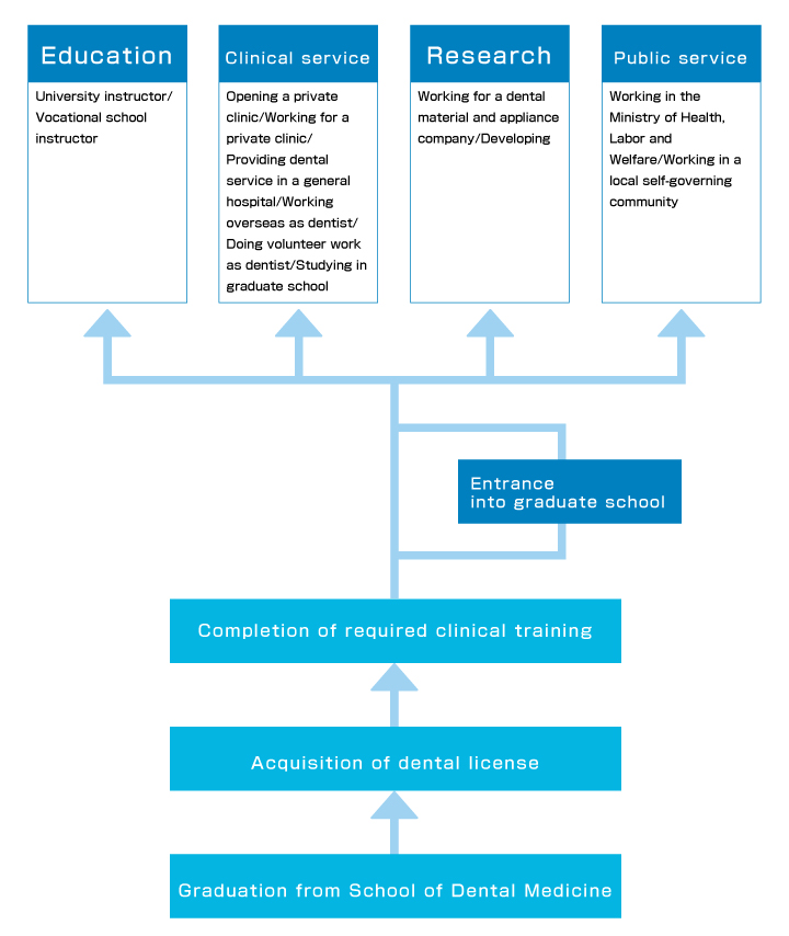 Future opportunities for dentists 