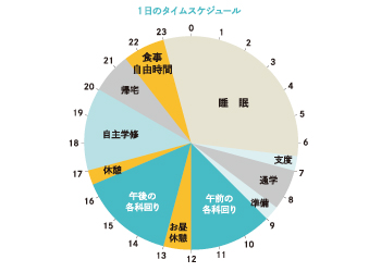 1日のタイムスケジュール