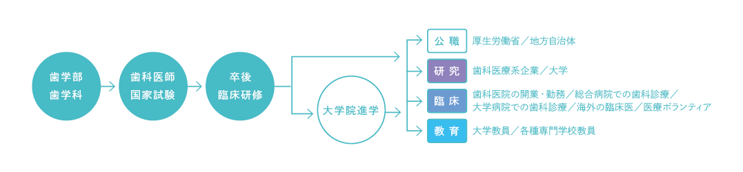 卒業後の進路