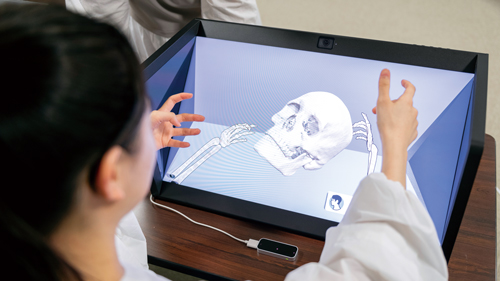 VR1